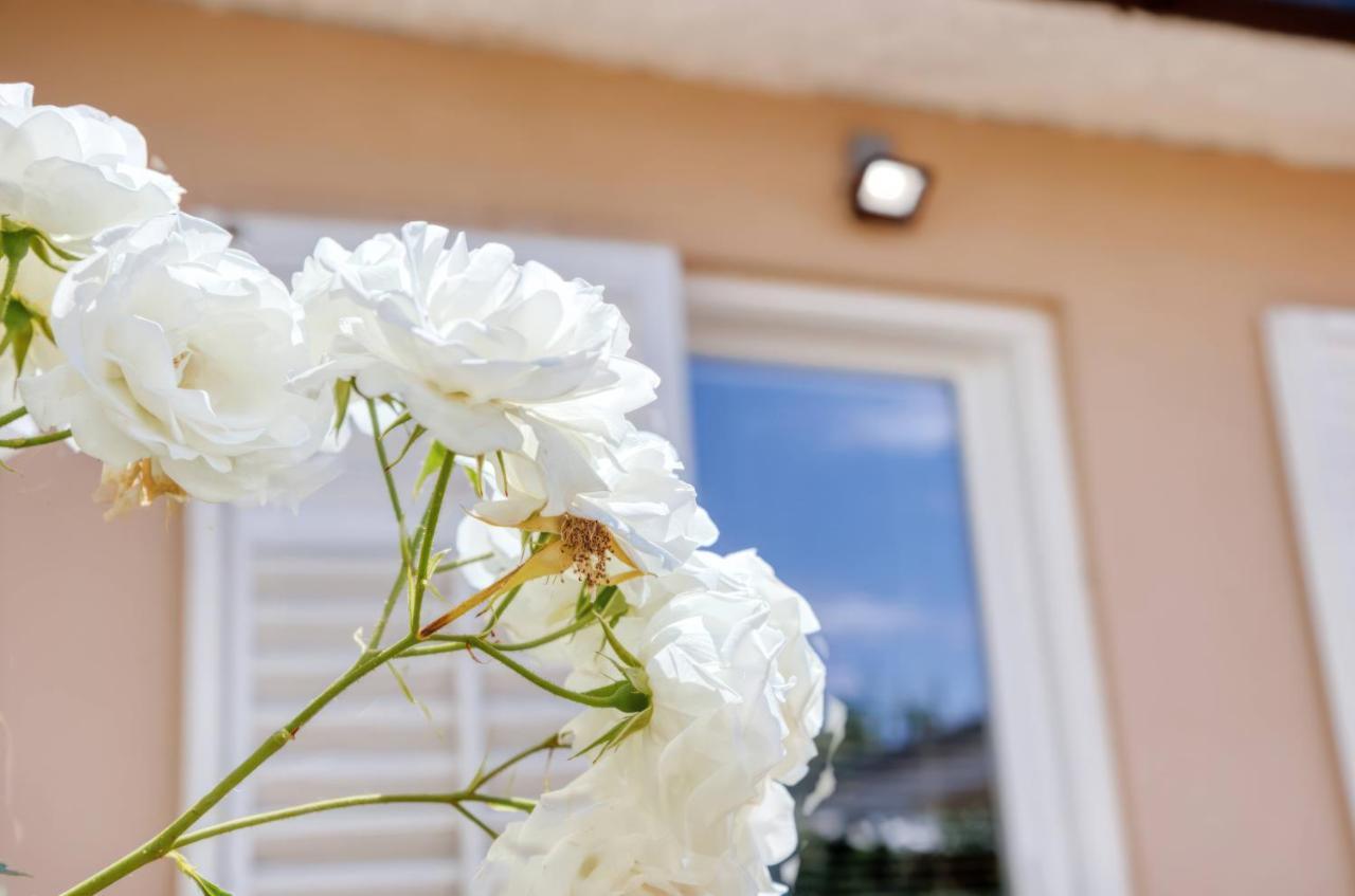 מדולין Holiday House "Laurus Garden" With Private Parking מראה חיצוני תמונה